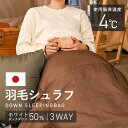 【最大8倍★20日限定】クッションにもなる3WAYシュラフ ブラウン X0017Vシュラフ 寝袋 封筒型 マミー型 ダウン 軽量 フード付き 収納袋付 防災 掛け布団 全身あったか アウトドア キャンプ 寝具