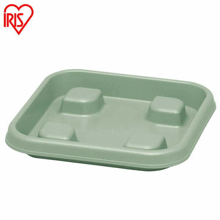 ������P15�ܡ�24��20������ �������ץ�󥿡����� 300 �٥����֥륰�꡼�� �����ꥹ�������