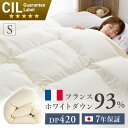 [最大400円OFFクーポン]羽毛布団 シングル 軽い 暖かい 羽毛布団 シングル フランスWDD93％ 1.0kg S 無地 PAA21RP1414 羽毛布団 ダウン率93% WDD ホワイトダックダウン 羽毛 掛け布団 掛布団 シングル フランス産 日本製 一人暮らし【TD】 【代引不可】