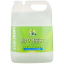 【店内最大79%OFF/最大P20倍】洗剤 緑の魔女 キッチン 5L 洗剤 せんざい 台所 単品 キッチン 5L 業務用 食器用洗剤 食器 液体洗剤