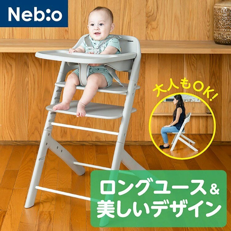 ロングユースベビーハイチェアP1 ハイチェア ロングユース ベビー 耐荷重100kg テ...