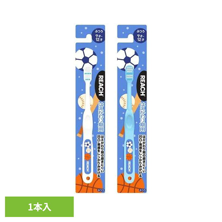 リーチ キッズ歯ブラシ ボール はえかわり期用 ふつう 1本 25213リーチ REACH キッズ歯ブラシ 子ども歯ブラシ リーチ