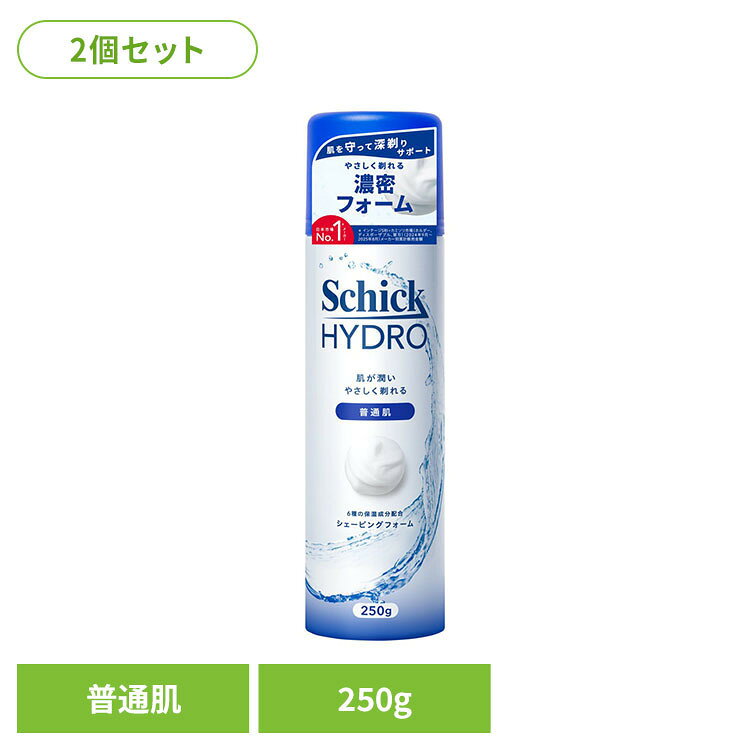 【2個セット】ハイドロ 普通肌 シェービングフォーム 250g シック ハイドロ カミソリ フォーム シェービング ハイドロ