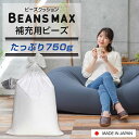 【まとめ買いで5％OFF★29日迄】ビーズクッション 補充 補充用ビーズ ビーズクッション用 補充ビーズ 750g 専用ビーズ ビーズ 発泡ビーズ クッション用 ビーズクッション クッション ビーンズMAX U字サポートMAX 詰め物 日本製 軽量 軽い 中身 【D】