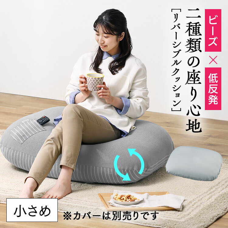 【10個セット】 特大ビーズクッション キューブタイプ レッド 特大