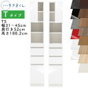 【開梱設置付き】スリムすきまくん Tタイプ 板扉キャビネット 幅31〜45cm 奥行52cm 高さ180.2cm TS 左開き(TSL) 右開き(TSR) SS...