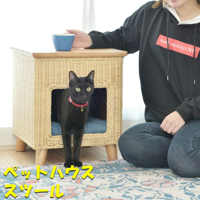 ペット ハウススツール PET-63スツール ミニテーブル 天然木パイン材 ラタン ペット用品 かわいい おしゃれ　クッション付き チェア 椅子 腰掛　ペットと一緒にくつろぐ 猫用 犬用