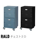 【送料無料】RALD ラルド チェスト2Dキャスター付き 2段 ロッカー ボックス 下駄箱 玄関収納 収納棚 ストッカー スチール ハンマートーン仕上げ ヴィンテージ レトロ アンティーク おしゃれ東谷 TPN-30GR TPN-30BK