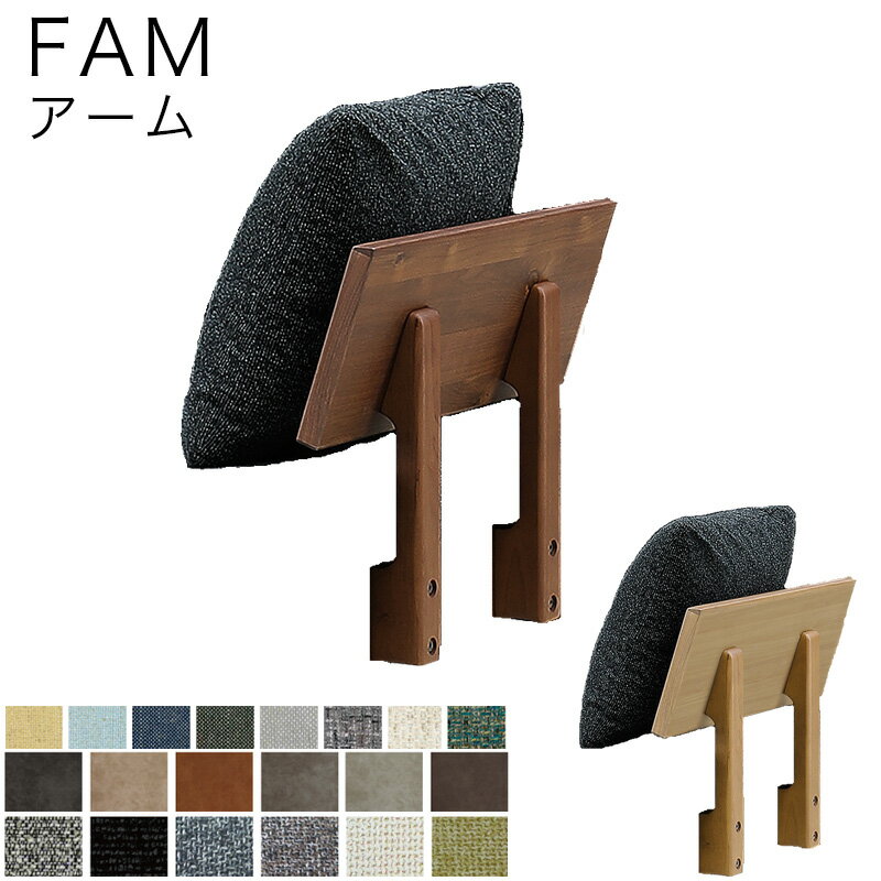   ˥󥰥  ̲   ӥ ˥ ʥå   FAM ե  LBR 饤ȥ...