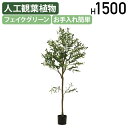 【テレワーク応援】ジョイント式フェイクグリーン オリーブ W750 D550 H1500 オフィスアクセサリー 備品 フェイクグリーン 人工観葉植物 観葉植物 ...