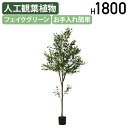 【配送無料】フェイクグリーン オリーブ W600 D600 H1800 人工観葉植物 フェイクグリーン 造花 雑貨 インテリアグリーン 室内 お部屋 ショップ ...