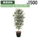 【法人宛限定】ベンジャミン W750 D750 H1500 オフィスアクセサリー 備品 フェイクグリーン 人工観葉植物 観葉植物 フェイク 人工 造花 光触媒 ...