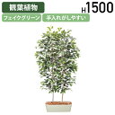 【法人宛限定】ベンジャミンパーテーション W1000 D800 H1500 オフィスアクセサリー 備品 フェイクグリーン 人工観葉植物 観葉植物 フェイク 人工...