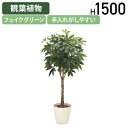 【法人宛限定】パキラ W800 D800 H1500 オフィスアクセサリー 備品 フェイクグリーン 人工観葉植物 観葉植物 フェイク 人工 造花 光触媒 鉢 植...