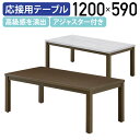 【国内メーカー品】【法人宛限定】レクト センターテーブル W1200 D590 H450 オフィス家具 応接用テーブル 応接室 役員室 役員家具 大川家具 オフ...