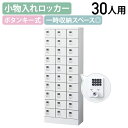 【法人宛限定】【国内メーカー品】小物入れロッカー 3列10段30人用 ボタン錠 W600 D300 H1600 個人ロッカー オフィスロッカー 小物入れロッカー...