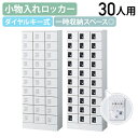 【法人宛限定】【国内メーカー品】小物入れロッカー 3列10段30人用 ダイヤル錠 W600 D300 H1600 収納庫 個人ロッカー オフィスロッカー 小物入れロッカー 貴重品入れ ミニロッカー 短時間収納 収納庫 幅60 奥行30 高さ160 ホワイト/ブラック SF-KLKW30D(3)