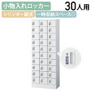 【法人宛限定】【国内メーカー品】小物入れロッカー 3列10段30人用 内筒交換錠 W600 D300 H1600 収納庫 個人ロッカー オフィスロッカー 小物入...