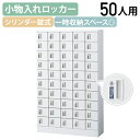 【法人宛限定】【国内メーカー品】小物入れロッカー 5列10段50人用 内筒交換錠 W1000 D300 H1600 収納庫 個人ロッカー オフィスロッカー 小物...