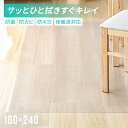 【もれなく全品P5倍！12:00～23:59】 