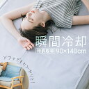 【もれなく全品P5倍！12:00～23:59】 ひんやりマット 冷感敷きパッド ダブル 90×140cm 敷きパッド 敷パッド 敷きパット 敷パット 冷却マット クールマット 冷感マット ジェルマット 冷感 夏用 接触冷感 おしゃれ 涼感寝具 クール寝具 夏用寝具