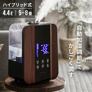 コンパクトな卓上加湿器のおすすめを教えてください。