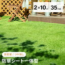 【もれなく全品P5倍！12:00～23:59】 人工芝 ロール 2m×10m 防草タイプ 芝丈35mm 芝生マット 人工芝生 人工芝ロール 芝生 ロールタイプ 固定ピン 庭 ベランダ テラス バルコニー ガーデニング u字ピン 屋上緑化 水はけ 人口芝