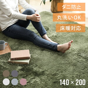 [MAX10%OFFクーポン配布中／詳細はバナーから] ラグ シャギーラグ rug 200×140 マイクロファイバーシャギー 北欧 Z4糸 ラグマット シャギー 滑り止め カーペット グリーン 洗える ホットカーペット 冬用 夏用