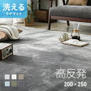 [MAX10%OFFクーポン配布中／詳細はバナーから] 高反発 ラグ 厚手 200×250cm 厚さ25mm フランネル 防音 滑り止め付 マイクロファイバー ホットカーペット対応 ラグ ラグマット 長方形 マット カーペット 絨毯 極厚 北欧 高反発 床暖房