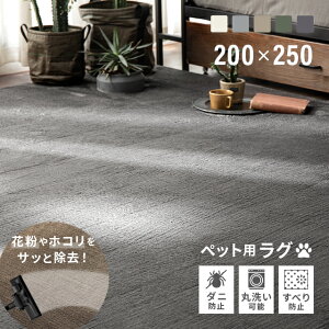 [MAX10%OFFクーポン配布中／詳細はバナーから] ペット用ラグ ラグ シャギーラグ rug 200×250 250×200 マイクロファイバーシャギー 北欧 ラグマット シャギー 滑り止め カーペット グリーン 洗える ホットカーペット 冬用 夏用