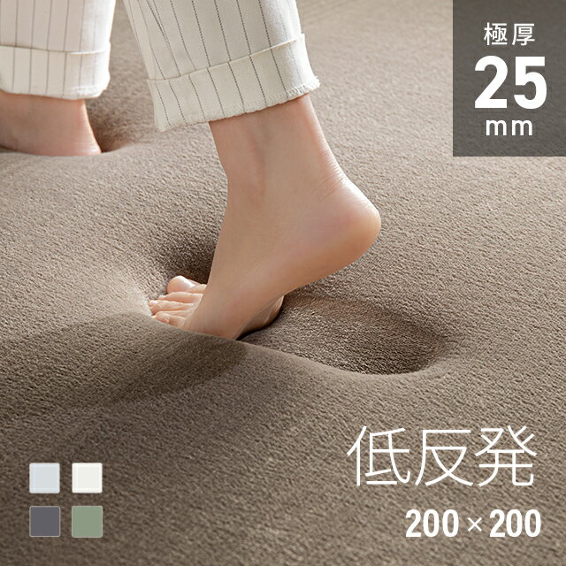 [�������ʤ�����P5��] �饰 ��ȿȯ 200��200 2�� �����ߥ��顼 �˸� 25mm �ɥ��� �饰�ޥå� �ե��ͥ� ���� ���ߤ��� �ޥ������ե�����...