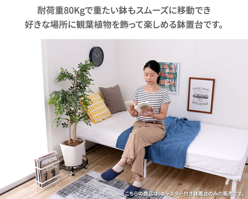 ���㥹�����դ� ��������ȭ���� ���Τ����Ǥ����㥹�����դ�ȭ���� 30cm������ ���㥹�����դ��ư�ư��ǽ �ݽ����� ����ȭ�� ȭ���ץ졼�ȥե�������� �֤��� ȭ���� ��ʪ���ݡ��� ��� �ݽ��ڤ˥֥�å�