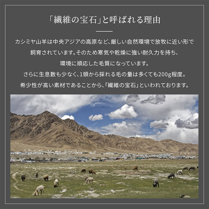 ������ �����ߥ����� ����������� D ���֥� 180x200cm ���֥륵���� �����ߥ� �֥�󥱥å� �Ȥ��� ���ä����� �դ�դ� �ۼ� �ݲ� �� �� ̵��