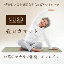 【割引クーポン配布中!】日本製 ヨガマット ロータスい草ヨガマット 90x180cm 無染土い草 耐久性 滑り止め 抗菌 防臭 湿度調整 さらさら 肌触り 軽い...