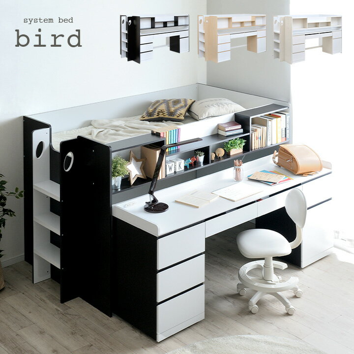 ڹ˥åȥǥ/̼Ǽۥƥ٥å bird(С) 3б ƥ٥å եȥ٥å ƥ٥åɥǥ եȥ٥å ǥ٥å Ҷѥ٥å Ҷ ٥å Ҷ