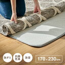 【ポイント最大10倍!15日23:59まで】ラグマット カーペット アンダーラグ 約170x230cm ラグ 敷物 下に敷くだけ 防音 抗菌防臭 両面滑り止め ...