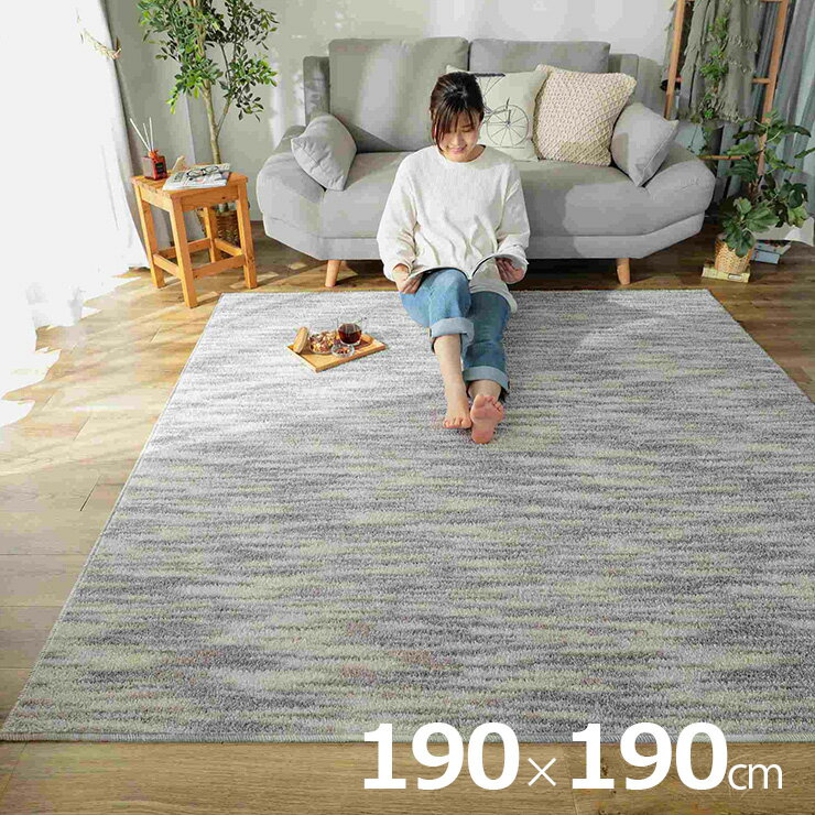 【ポイント9倍！今晩20時開始】国産 ラグ カーペット 190x190cm ラグマット ラグカーペット 正方形 接触冷感 敷き物 絨毯 手洗い可 すべり止め付き 抗菌 防臭 防ダニ 床暖房対応 ホットカーペット対応 オールシーズン おしゃれ オアシス 3色対応