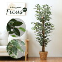 【ポイント最大10倍!15日23:59まで】人工観葉植物 フェイクグリーン Ficuse(フィカス) 690 H150cm・H160cm 2種対応 人工植物 観...