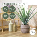 【ポイント最大10倍!15日23:59まで】人工観葉植物 フェイクグリーン アロエ M セメントポット 卓上 人工植物 観葉植物 おしゃれ フェイク 造花 グリ...