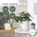 【ポイント5倍!20時〜25:59】人工観葉植物 フェイクグリーン アロカシア セラミックポット 卓上 人工植物 観葉植物 おしゃれ フェイク 造花 グリーン ...