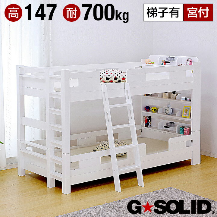 [耐荷重700kg/耐震/業務用可] G★SOLID 