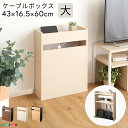 【本日最終P10倍!20時〜25:59決算sale】 ケーブルボックス 大 RTSB-H60 3色対応 収納ボックス 収納ケース ケーブル収納 電源タップ収納 ...