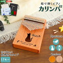 【ポイント10倍!20時〜23:59】 指で弾くピアノ カリンバ 初心者セット 絵柄付きタイプ 6タイプ対応 民族楽器 17キー 親指ピアノ ハンドオルゴール ...