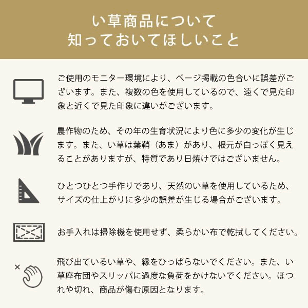 い草お座布「小梅」 (35×35cm) インスタイル (inSTYLE)母の日 座布団 ざぶとん 井草 マット いぐさ リビングクッション おしゃれ 正方形 日本製 アジアン シンプル ナチュラル たたみ 涼しい い草クッション 夏