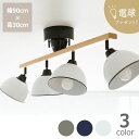 y5/1!ō5000~ȏw500~OFFN[|zydv[gzBRIDiubhj WF_[ EbhEbh 4 V[Ov RtsGENDER WOOD ROD 4 CEILING LAMP ̓ ̓Mtg