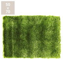 【8/1限定!税込5000円以上購入で500円OFFクーポン】BRID(ブリッド)グラスラグ50×70cm カーペット 絨毯 芝生 ふわふわ おしゃれ オシャレ...