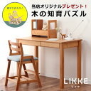 奥行きサイズを拡張できる学習机・学習デスク 2点セット100cm幅(デスク+上棚)LIKKE(リッケ) デスクセット 堀田木工所ペントレイ スタディコーナー 無...