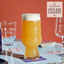 HOLMEGAARD(ホルムガード)Mikkeller(ミッケラー)IPA グラス 500ml 2個セットガラス グラス コップ ペアグラス ビール ソフトドリ...