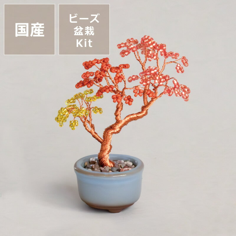 楽天市場】ミニ盆栽(日用品雑貨・文房具・手芸)の通販 楽天市場】ミニ盆栽(日用品雑貨・文房具・手芸)の通販