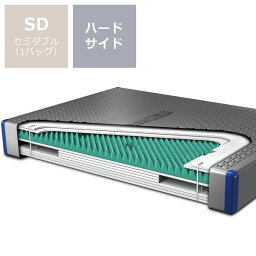 ウォーターマットレスハードサイド　SD（1バッグ）BODYTONE-ZEN-MATTRESS【ウォーターワールド/WATER WORLD】※代引き不可 ドリームベッド dreambedウォーターベッド ウォーターベット 寝具